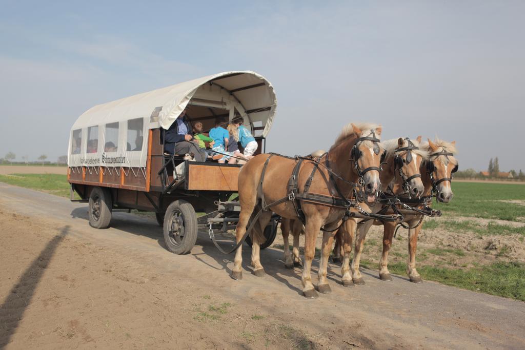 Gasthof Schraevenacker Vleteren Dış mekan fotoğraf
